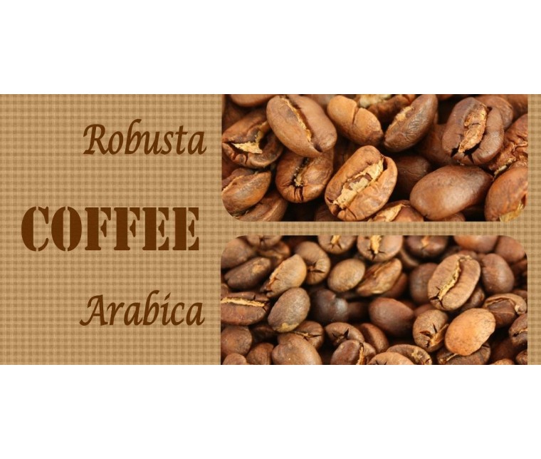 Robusta vs Arabica: tutte le differenze
