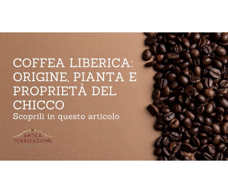 Coffea Liberica: Origine, Pianta e Proprietà del Chicco