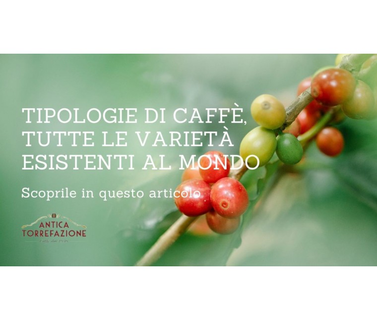 Tipologie di caffè - Tutte le Varietà
